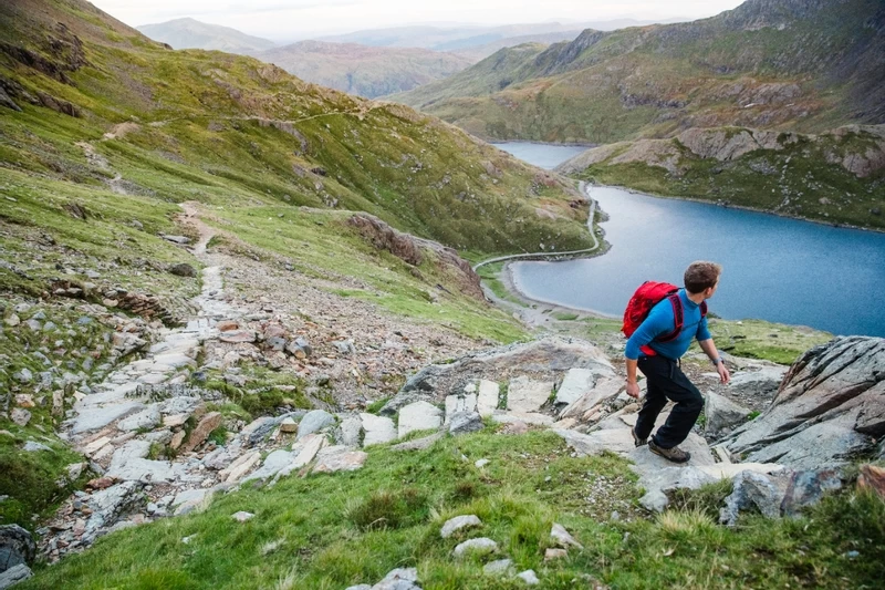 Osprey Syncro Daypack - 20 Liter - Zwart - Afbeelding 8